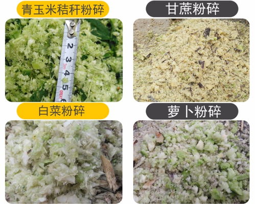 小型牧草切草機(jī) 多功能家用鍘草機(jī)與玉米秸稈揉絲機(jī)報(bào)價指南