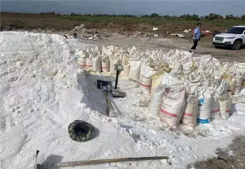假鹽泛濫，五百余噸地下鹽場被摧毀