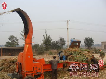 搶抓農時促轉化，市畜牧局多措并舉推廣秸稈青貯飼料助力畜牧漁業降本增效