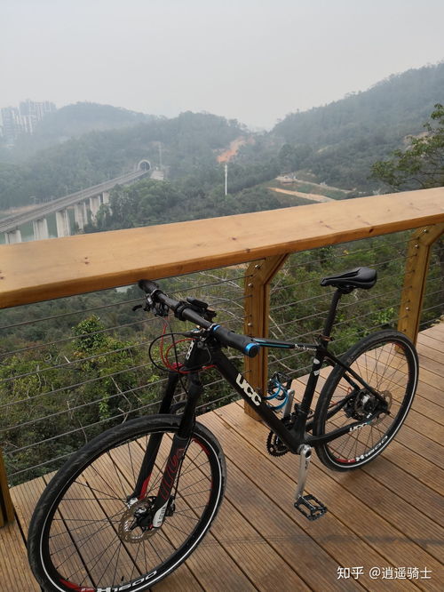 如何評(píng)價(jià)ucc自行車的產(chǎn)品