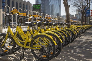 來了就不想走,歪果仁迷戀中國是因?yàn)? class=