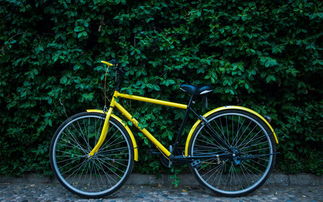 風頭上的 共享自行車 一場看不到盈利的 豪賭